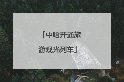 中哈开通旅游观光列车
