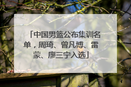 中国男篮公布集训名单，周琦、曾凡博、雷蒙、廖三宁入选