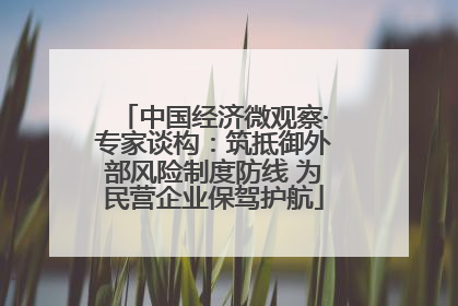 中国经济微观察·专家谈构：筑抵御外部风险制度防线 为民营企业保驾护航