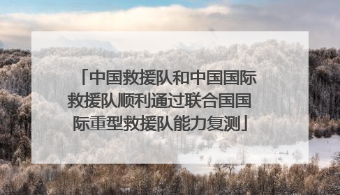 中国救援队和中国国际救援队顺利通过联合国国际重型救援队能力复测