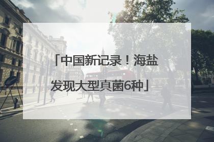 中国新记录！海盐发现大型真菌6种