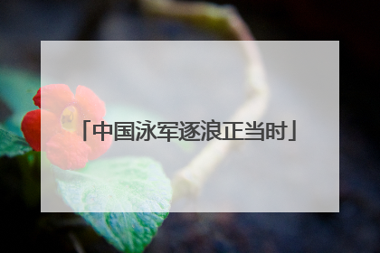 中国泳军逐浪正当时