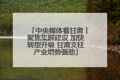 中央媒体看甘肃丨聚焦集群建设 加快转型升级 甘肃支柱产业增势强劲