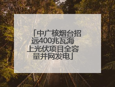 中广核烟台招远400兆瓦海上光伏项目全容量并网发电