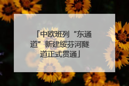 中欧班列“东通道”新建绥芬河隧道正式贯通