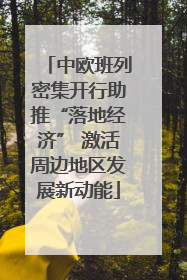 中欧班列密集开行助推“落地经济” 激活周边地区发展新动能