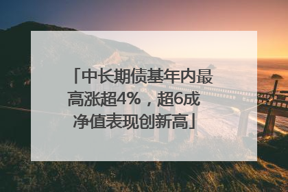 中长期债基年内最高涨超4%，超6成净值表现创新高