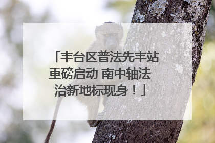 丰台区普法先丰站重磅启动 南中轴法治新地标现身！