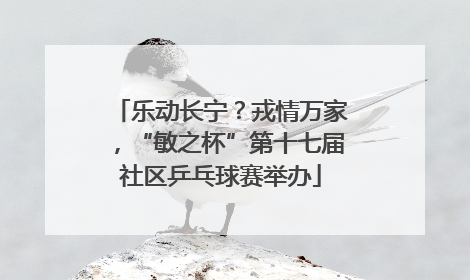 乐动长宁？戎情万家，“敏之杯”第十七届社区乒乓球赛举办