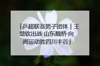 乒超联赛男子团体｜王楚钦出战 山东魏桥·向尚运动胜四川丰谷