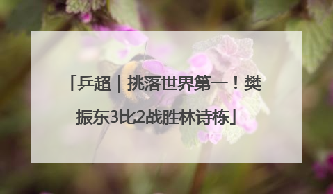 乒超｜挑落世界第一！樊振东3比2战胜林诗栋