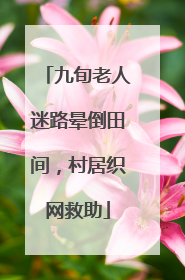 九旬老人迷路晕倒田间，村居织网救助
