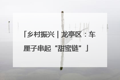 乡村振兴｜龙亭区：车厘子串起“甜蜜链”