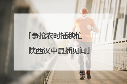 争抢农时插秧忙——陕西汉中夏播见闻