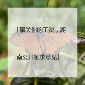 事关你的工资，湖南公开征求意见