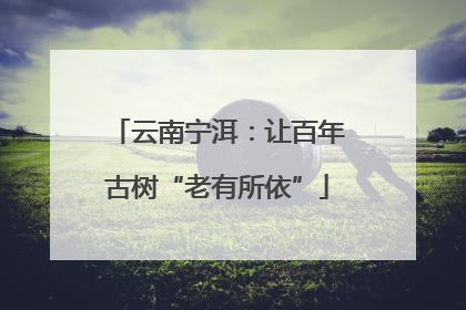 云南宁洱：让百年古树“老有所依”