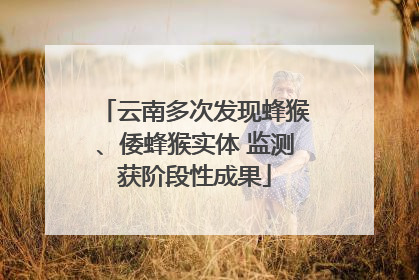 云南多次发现蜂猴、倭蜂猴实体 监测获阶段性成果