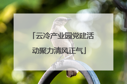 云冷产业园党建活动聚力清风正气