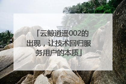 云鲸逍遥002的出现，让技术回归服务用户的本质