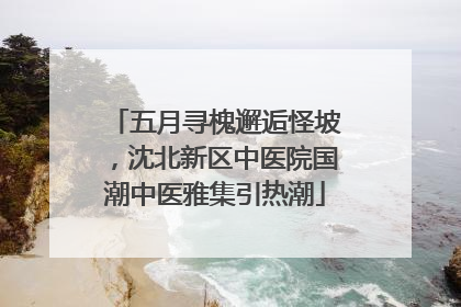 五月寻槐邂逅怪坡，沈北新区中医院国潮中医雅集引热潮
