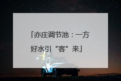 亦庄调节池：一方好水引“客”来