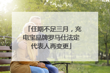 任期不足三月，充电宝品牌罗马仕法定代表人再变更