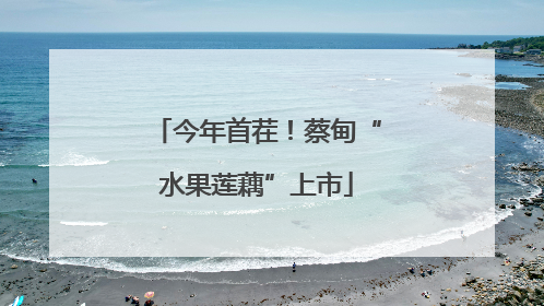 今年首茬！蔡甸“水果莲藕”上市