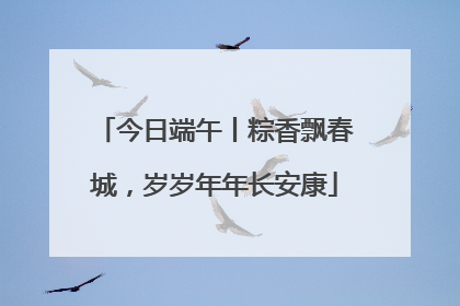 今日端午丨粽香飘春城，岁岁年年长安康