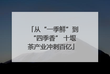 从“一季鲜”到“四季香” 十堰茶产业冲刺百亿
