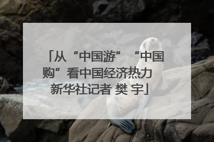 从“中国游”“中国购”看中国经济热力 新华社记者 樊 宇
