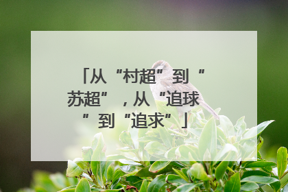 从“村超”到“苏超”，从“追球”到“追求”