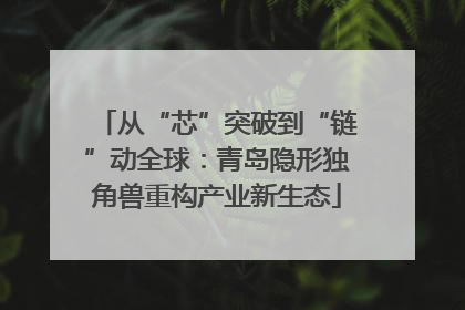 从“芯”突破到“链”动全球：青岛隐形独角兽重构产业新生态