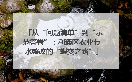 从“问题清单”到“示范答卷”：利通区农业节水整改的“蝶变之路”