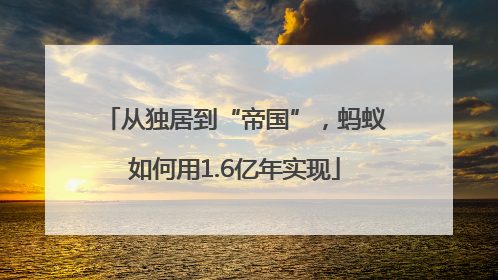 从独居到“帝国”，蚂蚁如何用1.6亿年实现