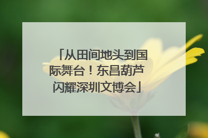从田间地头到国际舞台！东昌葫芦闪耀深圳文博会