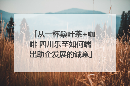 从一杯桑叶茶+咖啡 四川乐至如何端出助企发展的诚意