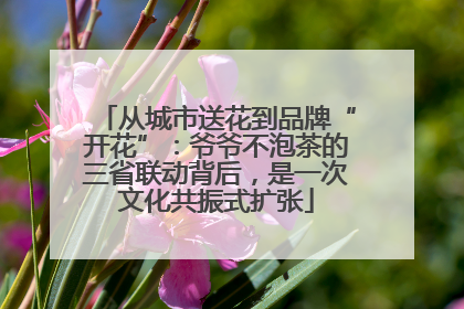 从城市送花到品牌“开花”：爷爷不泡茶的三省联动背后，是一次文化共振式扩张