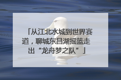 从江北水城到世界赛道，聊城东昌湖摇篮走出“龙舟梦之队”