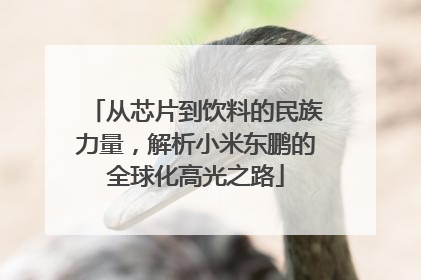 从芯片到饮料的民族力量，解析小米东鹏的全球化高光之路