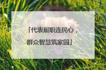 代表履职连民心，群众智慧筑家园