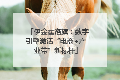 伊金霍洛旗：数字引擎激活“电商+产业带”新标杆