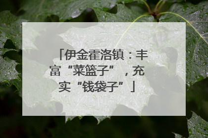 伊金霍洛镇：丰富“菜篮子”，充实“钱袋子”