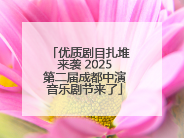 优质剧目扎堆来袭 2025第二届成都中演音乐剧节来了