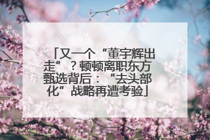 又一个“董宇辉出走”？顿顿离职东方甄选背后：“去头部化”战略再遭考验