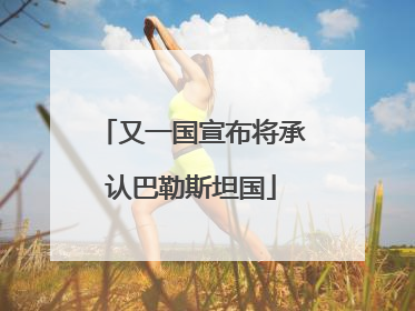 又一国宣布将承认巴勒斯坦国