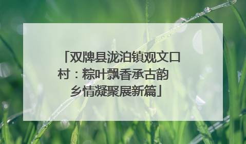 双牌县泷泊镇观文口村：粽叶飘香承古韵 乡情凝聚展新篇