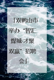 双鸭山市举办“智汇煤城·才聚双赢”招聘会