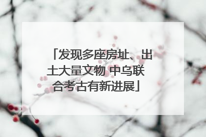 发现多座房址、出土大量文物 中乌联合考古有新进展