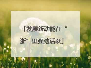 发展新动能在“浙”里强劲活跃