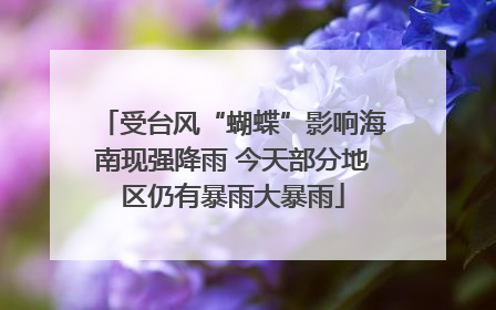 受台风“蝴蝶”影响海南现强降雨 今天部分地区仍有暴雨大暴雨